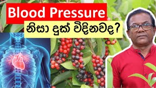 ආහාර ජීරණය පහසු කරවන , දුර්ලභ පළතුර | Karawala kebella |Ceylon Agri |Episode 160