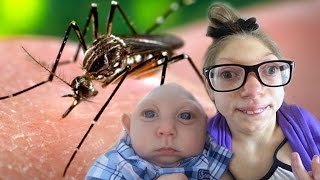 Top 10 Zika Virus Facts You Need To Know