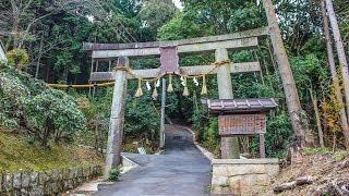 山科神社 山科 京都 / Yamashina Shrine Kyoto