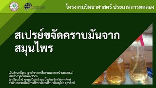 โครงงานวิทยาศาสตร์ประเภททดลอง เรื่อง..สเปรย์ขจัดคราบมันจากจากสมุนไพร