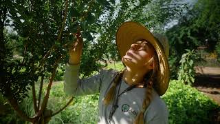 About the AZWF Food Forest