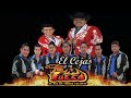 quisieron matar al pez el cejas y su banda fuego en vivo