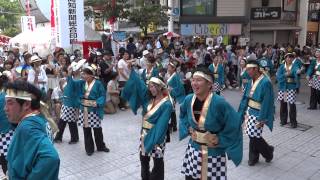 グローカルクラブJaparean（よさこい祭り2013・帯屋町）