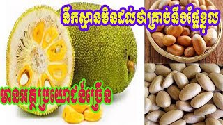 អត្ថប្រយោជន៍៨យ៉ាងនៃផ្លែខ្នុរ