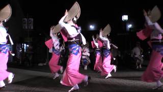 秋の夜長の阿波おどり⑤新ばし連