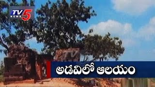 Temple Found While Excavation of Hidden Gold Treasures | Nellore | Telugu News | TV5 News