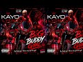 Big Buddy Gyal Kayo Lyon (WFYL Riddim) 