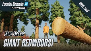Platinum DLC - What Can You Do With The Redwoods? - Farming Simulator 22