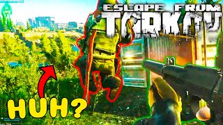 *WIPE* Escape from Tarkov - Best Highlights \u0026 EFT WTF, Funny Moments #138