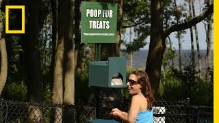 Top 5 Poop Deposits | Crowd Control