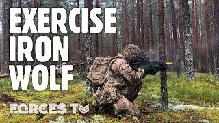 Iron Wolf: British Army Reservists Join Lithuania's Largest Military Exercise | Forces TV