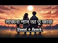 Sajna paas aa tu jara lofi | ( সাজনা পাস আ তু যারা ) | Bengali lofi song | Slowed + Reverb