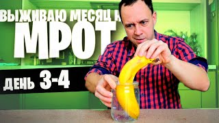 3 - 4 день 😱 ВЫЖИВАЮ МЕСЯЦ на МРОТ (ШАУРМА)