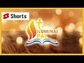 🙏GRATIDÃO Deus por tudo Oração 🙏 Iluminai PAI  #Shorts