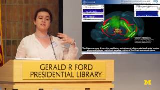 Ileana Hanganu-Opatz | Neonatal Brain Rhythms