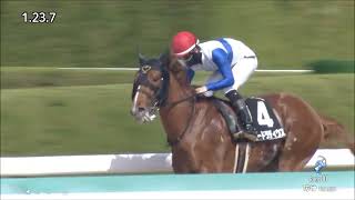 天満橋S　ダ1400m (右)　ロードラディウス　牡4　56.0　松山弘平　2024.4.13　　出走馬：ペプチドタイガー、タマモダイジョッキ、ケイアイアニラ、フォーチュンテラー、イチネンエーグミ他