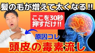 【抜け毛激減】1日たった3分！頭皮の毒素流し！育毛剤を使わなくても薄毛がフサフサになる方法！#薄毛 #抜け毛 #育毛剤 #ヘッドスパ