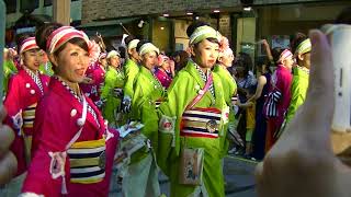 2018高知よさこい祭り／2日目／ほにや⑦1