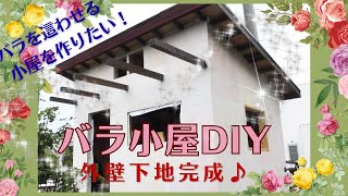 【庭作り小屋⑯】バラを這わせる小屋をDIY　外壁下地完成！！窓に飾るロサオリエンティスのプログレッシオ新苗の成長の様子