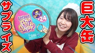 巨大な缶からペット!?海外で人気のサプライズトイが面白すぎた！【Littlest PETSHOP】