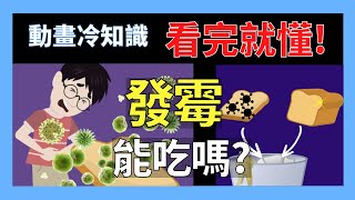 吃發霉麵包可能得肝癌!?黴菌有多危險■小冷知識科普 動畫