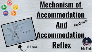 Accommodation Of Eye | Accommodation Reflex | Presbyopia | Special Senses Physiology