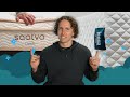 Leesa Sapira vs Saatva | Hybrid Mattress Reviews (#1 GUIDE)