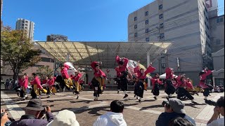 山口大学よさこいやっさん‼︎ YOSAKOIさせぼ祭り2023 島瀬会場　21代目演舞　『咲遥か』