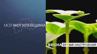 Моя Могилевщина // Весна