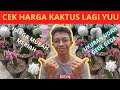 UP DATE TANAMAN HIAS VIRAL JENIS KAKTUS DAN HARGANYA | CACTUS PLANT INDONESIA