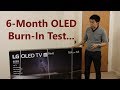 OLED Burn-In Test: No Screen Burn After 6 Months of Use, 20 Hours A Day