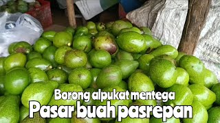 BORONG ALPUKAT SUPERAN DI LAPAK BU MUDA PASAR BUAH PASREPAN PASURUAN