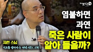 염불하면 과연 죽은 사람이 알아들을까? | 영혼 영가 망자 49재 천도재 염불 천도 |자현스님의 기도를 알아가는 저녁 시즌1 11회