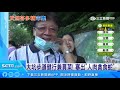 大坑步道健行兼買菜！塞出「人肉貪食蛇」｜三立新聞台