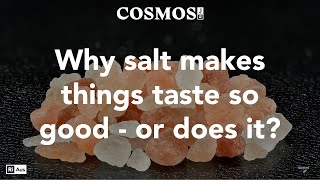 Cosmos Shorts: Why salt makes things taste so good - or does it?