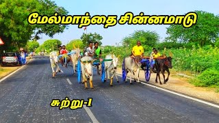 17.09.22 மேல்மாந்தை சின்னமாடு  சுற்று-1 தூத்துக்குடி (மா)@Vetritamilan