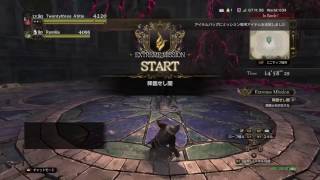 【DDON】#71　降臨せし闇　黒騎士　鹿\u0026エレポーン　ペアクリア