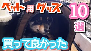 初めてワンちゃんを飼う方へ、買って良かった犬用グッズ10選【犬 飼う準備】【犬 お迎え】【黒柴犬】【豆柴】