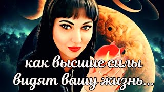 ❗️🕊КАК ВЫСШИЕ СИЛЫ, ВИДЯТ ВАШУ СИТУАЦИЮ⁉️🪶