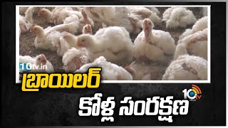 బ్రాయిలర్ కోళ్ల సంరక్షణ | BROILER CHICKEN FARMING | Matti Manishi | 10TV News