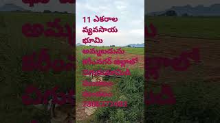 11 acres land for sale karimnagar chigurumamdi Mandal siddipet 40km 30 lacks for one acre(Husnabad)