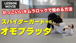 柔術レッスン動画「スパイダーガードからオモプラッタ」