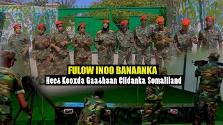 Hees Cusub Fulow waa inoo Banaanka Kooxda Gaashaan Ciidanka Somaliland Official 2025