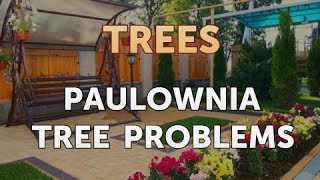 Paulownia Tree Problems