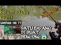 BAHAYA !! UMPAN INI BISA NGURAS HABIS SATU KOLAM BAWAL HARIAN DALAM WAKTU SINGKAT😱 | NEKAD MANCING