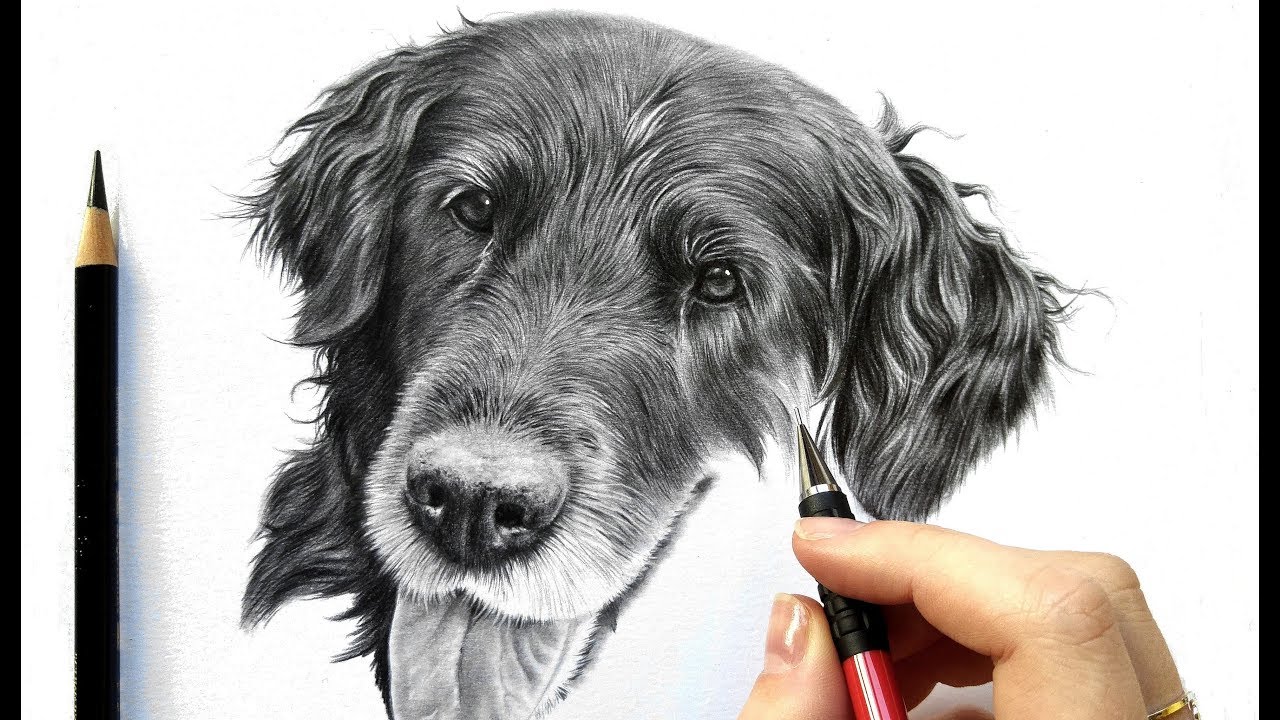 Black And White Sketch Of Hand Drawing Tutorial: How To Draw Realistic ...