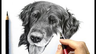 Drawing tutorial: How to draw realistic black fur - graphite and colored pencil | Leontine van vliet