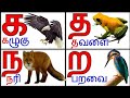 Tamil uyirmei ezhuthukkal | தமிழ் உயிர்மெய் எழுத்துக்கள் | க ங ச ஞ| Tamil alphabets @PRINIT1419