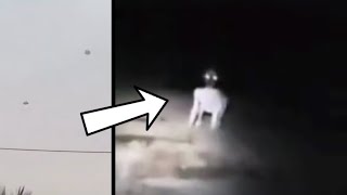 A Japanese Man Claimed to Have Seen a UFO Crash! A Strange Creature Seen