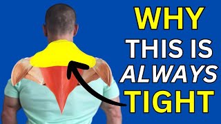 Why Your Neck and Shoulders Are Always Tight – And How to Relax Them